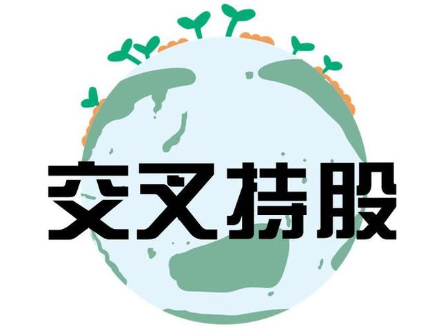交叉持股安排设计(交叉持股怎么计算持股比例)大庆市