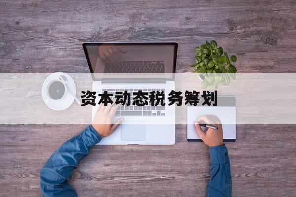 资本动态税务筹划(资本动态税务筹划案例)大庆市